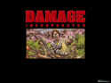 Damage Incorporated