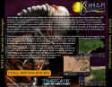 Kohan: Immortal Sovereigns