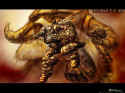 Rune