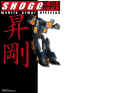Shogo: Mobile Armor Division
