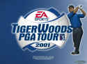 Tiger Woods PGA Tour 2001