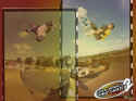 Tony Hawk's Pro Skater 2