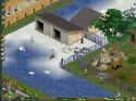 Zoo Tycoon