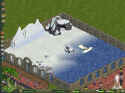 Zoo Tycoon