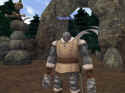 Dark Age of Camelot