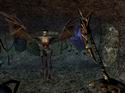 The Elder Scrolls 3: Morrowind