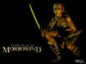 The Elder Scrolls 3: Morrowind