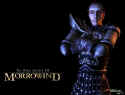 The Elder Scrolls 3: Morrowind