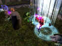 Neverwinter Nights
