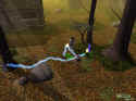 Neverwinter Nights