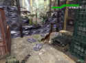 Dino Crisis 2