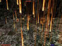 Gothic 2