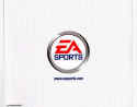F.A. Premier League Football Manager 2001