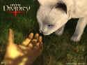 Divine Divinity
