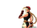 Street Fighter Alpha: Warriors' Dreams