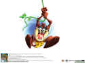 Taz: Wanted