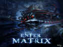 Enter The Matrix
