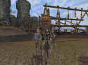 Dark Age of Camelot: Shrouded Isles