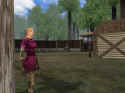 Dark Age of Camelot: Shrouded Isles