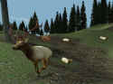 Hunting Unlimited 2