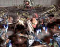 Chaos Legion
