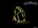 Magic: The Gathering - Online
