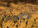 Ski Jumping 2004