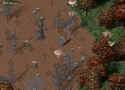 Ultima Online: Age of Shadows