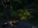 Far Cry
