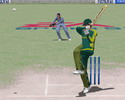Cricket 2004