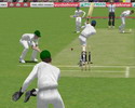 Cricket 2004