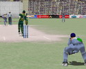 Cricket 2004