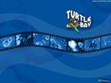 Turtle Bay