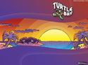 Turtle Bay