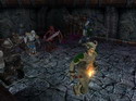 Dungeon Siege 2