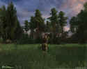 S.T.A.L.K.E.R.: Shadow of Chernobyl