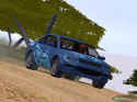 Euro Rally Champion