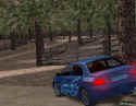Euro Rally Champion