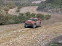 Colin McRae Rally 2005