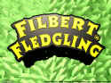 Filbert Fledgling