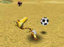 Pet Soccer