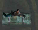 Dead to Rights 2