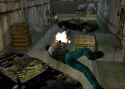 Dead to Rights 2