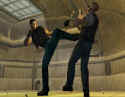 Dead to Rights 2