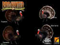Bird Hunter 2003