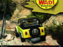 Wadi Basher 4x4