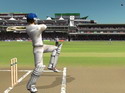Brian Lara International Cricket 2005