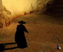 The Shadow of Zorro