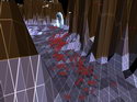 Darwinia