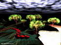 Darwinia